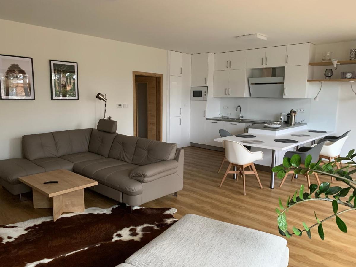 Lipno Port Apartment C101 Lipno nad Vltavou Extérieur photo